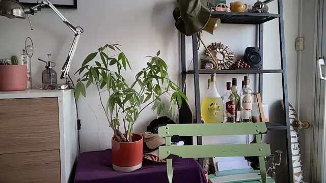 MikymikeBBWD online show from November 4, 10:47 am