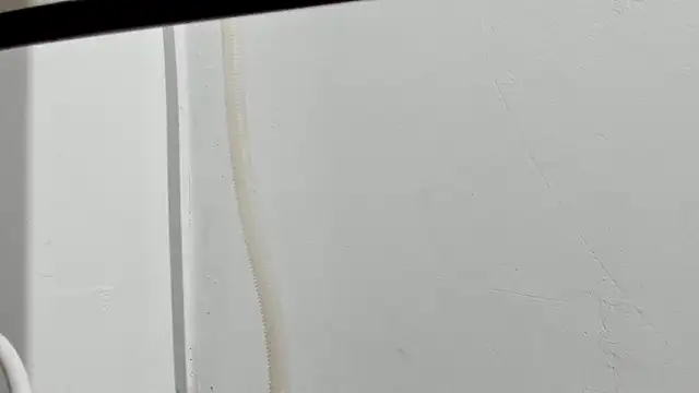 Aleshkastone online show from January 11, 3:39 pm