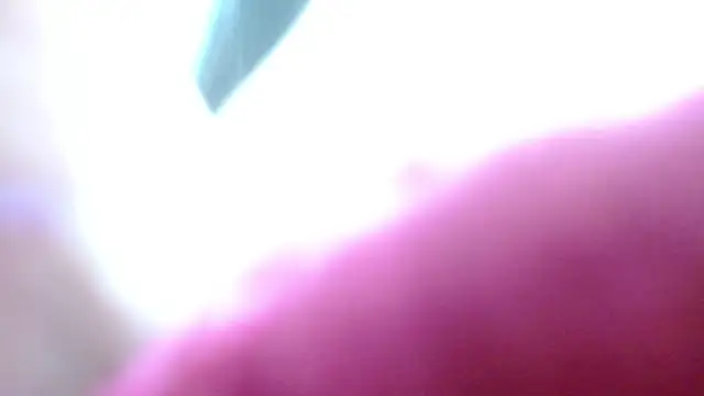 Snapshot of camilah_tk chatting on May 13, 12:24 pm camilah tk online show from May 13, 12:24 pm