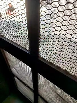 Snapshot of indian_couple4 chatting on February 7, 8:40 am indian couple4 online show from February 7, 8:40 am