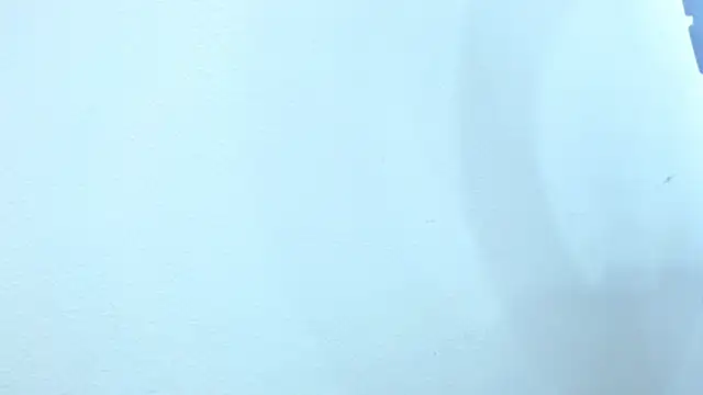 sebastian colle online show from February 26, 12:03 pm