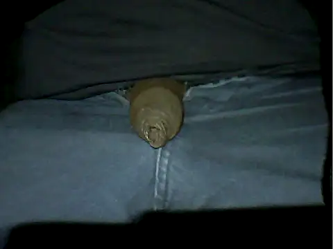 Mthondo-qinile online show from November 18, 9:30 pm