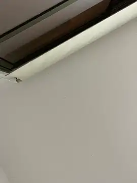 Snapshot of tu-bebitaa chatting on March 12, 7:02 am tu-bebitaa online show from March 12, 7:02 am