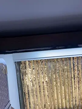 Madisson-Rivas online show from November 13, 6:07 pm