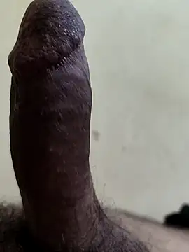 Snapshot of alkhabiir chatting on October 27, 9:41 pm alkhabiir online show from October 27, 9:41 pm