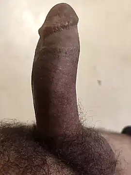 Snapshot of alkhabiir chatting on November 2, 8:17 am alkhabiir online show from November 2, 8:17 am