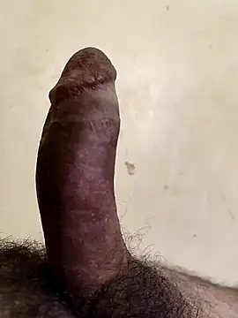 Snapshot of alkhabiir chatting on February 14, 3:31 pm alkhabiir online show from February 14, 3:31 pm