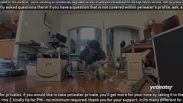 yetieater online show from February 13, 5:22 pm