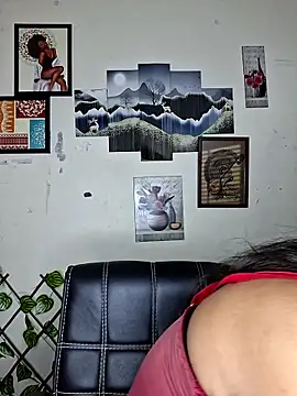 Snapshot of Noor-Bold chatting on February 7, 1:53 am Noor-Bold online show from February 7, 1:53 am