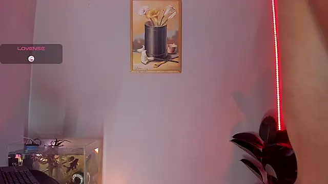 Snapshot of CRAZY-BOY99 chatting on October 31, 10:05 am CRAZY-BOY99 online show from October 31, 10:05 am