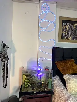 Snapshot of CRAZY-BOY99 chatting on December 16, 11:04 am CRAZY-BOY99 online show from December 16, 11:04 am