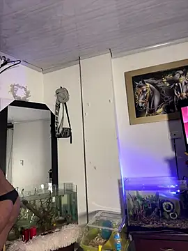 Snapshot of CRAZY-BOY99 chatting on January 17, 9:03 am CRAZY-BOY99 online show from January 17, 9:03 am