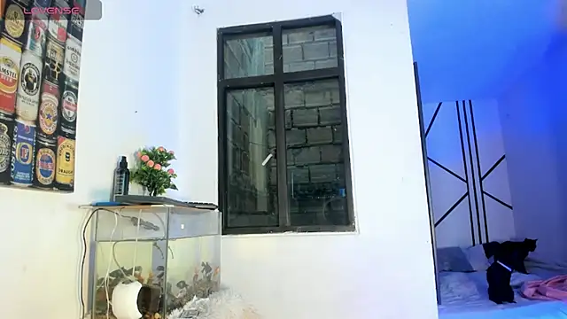 Snapshot of CRAZY-BOY99 chatting on February 11, 11:37 am CRAZY-BOY99 online show from February 11, 11:37 am