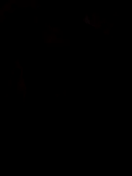 viviksmel online show from October 25, 11:51 am