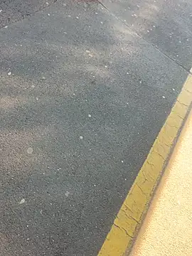 sohasenki online show from April 4, 2:03 pm