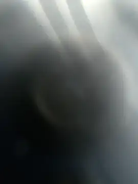 Gotabodiee online show from November 13, 12:59 pm