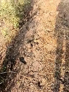 himvilohi08 online show from February 28, 3:07 am