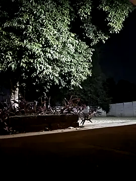 bakedsnackmmh online show from February 19, 9:33 pm