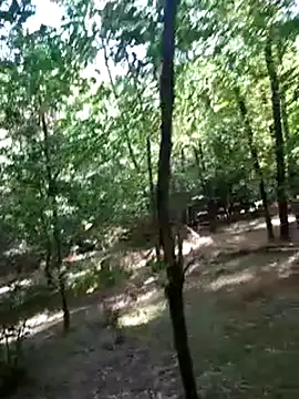 Snapshot of sile47 chatting on August 5, 7:11 am sile47 online show from August 5, 7:11 am