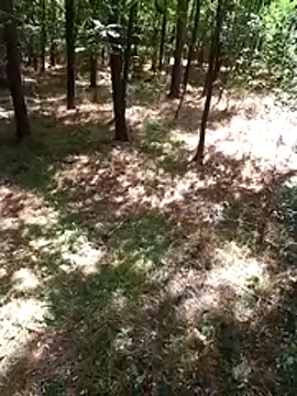 Snapshot of sile47 chatting on August 9, 10:53 am sile47 online show from August 9, 10:53 am