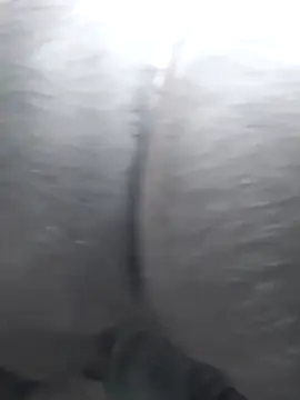 Snapshot of Idontmind367 chatting on November 14, 5:06 am Idontmind367 online show from November 14, 5:06 am