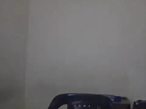 Snapshot of Visculi chatting on December 14, 8:46 pm Visculi online show from December 14, 8:46 pm