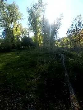 boasbuiten online show from April 30, 3:51 pm