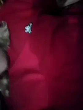 Snapshot of VictoriaLuxe chatting on November 5, 8:42 pm VictoriaLuxe online show from November 5, 8:42 pm