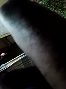 PolarFriend0 online show from February 14, 4:37 pm