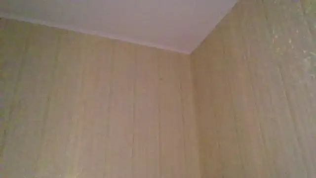 Snapshot of _Black-Panther_ chatting on November 12, 2:06 pm Black-Panther online show from November 12, 2:06 pm