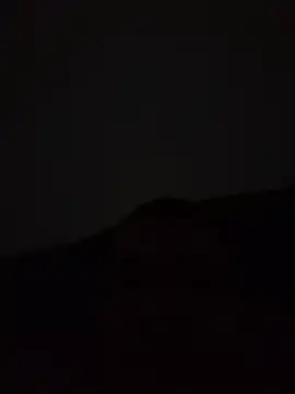 yourflowerpink online show from December 1, 7:24 am