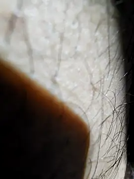 Snapshot of ikeike-kun chatting on November 26, 9:43 am ikeike-kun online show from November 26, 9:43 am