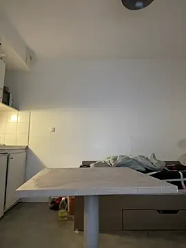 Renoirmonter online show from January 15, 9:14 am