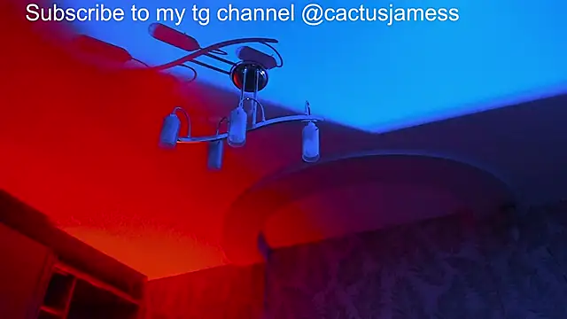 Cactus  James online show from November 21, 11:58 pm