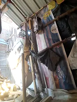 hot integer online show from February 11, 11:26 am