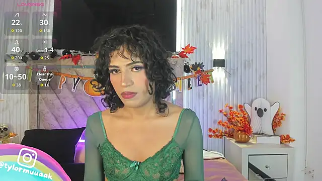 Taylor Harveey online show from November 1, 8:00 pm