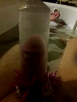 Snapshot of Tomassasdss chatting on December 16, 8:58 pm Tomassasdss online show from December 16, 8:58 pm