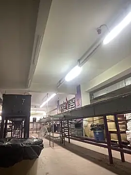 giyasbvnghkgkfk online show from April 13, 7:25 am