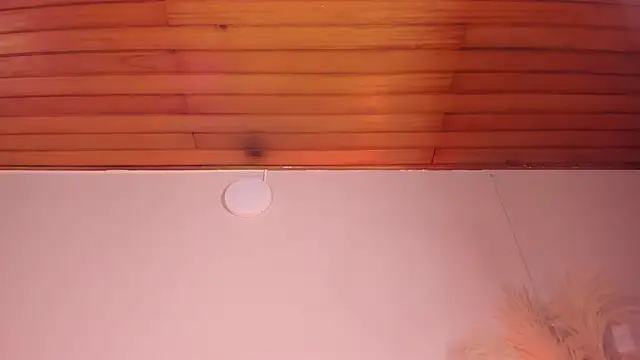 viol collins   online show from March 22, 12:14 pm