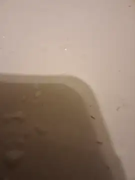 Snapshot of moasslicker chatting on October 21, 4:46 am moasslicker online show from October 21, 4:46 am