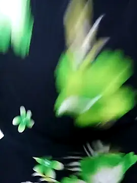 Snapshot of tamiltady chatting on September 12, 5:57 pm tamiltady online show from September 12, 5:57 pm