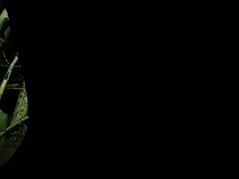 ConfidedAward online show from September 13, 11:21 am