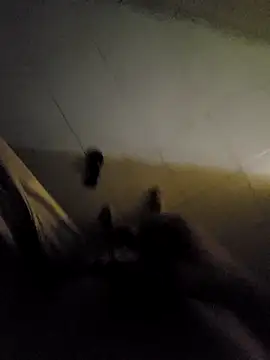 Snapshot of beto_juby777 chatting on November 4, 10:42 pm beto juby777 online show from November 4, 10:42 pm