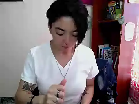 Snapshot of Came-II chatting on July 26, 6:37 pm Came-II online show from July 26, 6:37 pm