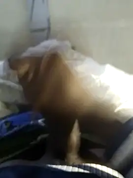 92donis online show from November 20, 7:24 pm