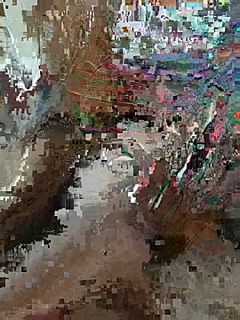 desiboyarya online show from February 21, 6:09 pm