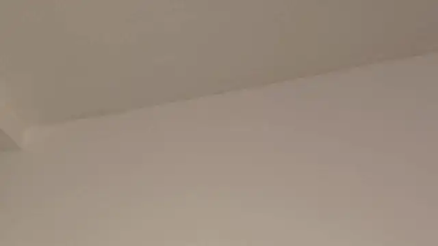 Aleecandrews online show from November 24, 7:35 pm