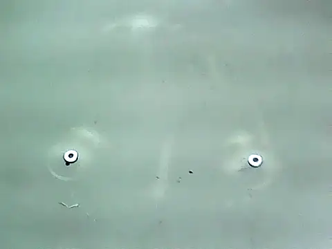 Snapshot of 20cmloiro chatting on January 15, 12:59 am 20cmloiro online show from January 15, 12:59 am