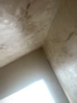 Snapshot of Noa_Todokoro chatting on October 16, 3:02 pm Noa Todokoro online show from October 16, 3:02 pm