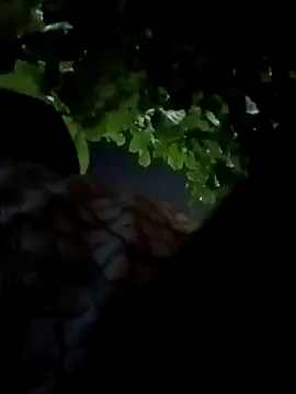 Snapshot of Rajopensex_955 chatting on March 21, 6:22 pm Rajopensex 955 online show from March 21, 6:22 pm